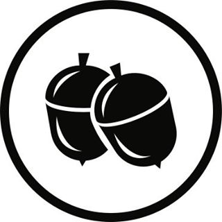 Ball Wash logo