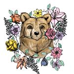 bear's blooms logo