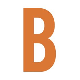 Bullymake logo