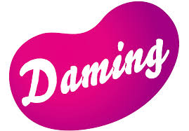 Daming Toys logo