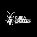 DubiaRoaches.com logo