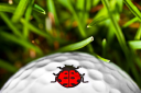 Golf Dotz logo