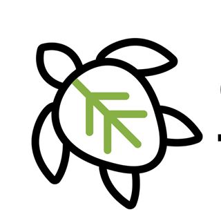Green Turtle Co logo