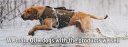 Gun Dog Supply logo