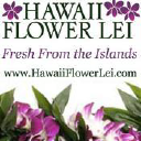 Hawaii Flower Lei logo