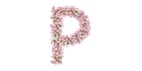 The Pink Reef logo