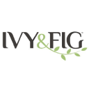 Ivy & Fig logo