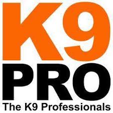 K9 Pro logo