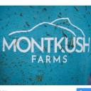 MONTKUSH CBD logo