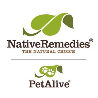 Native Remedies logo