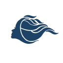 NewTimes Hair logo