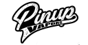 Pinup Vapors logo