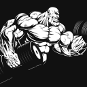 Primal Muscle Sports Supplements logo