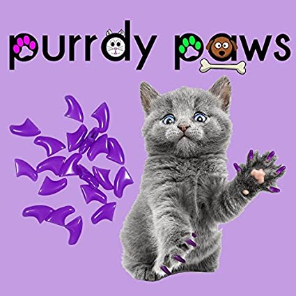 Purrdy Paws logo