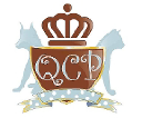 Queen City Petsitting logo