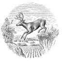 Stags Leap Wine logo
