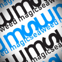 Magicseaweed logo