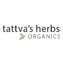 Tattva's Herbs logo
