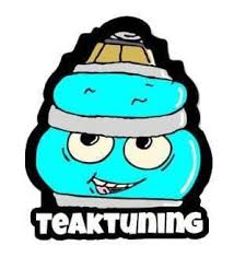 Teak Tuning logo
