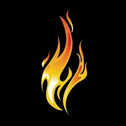 The Fire Store logo