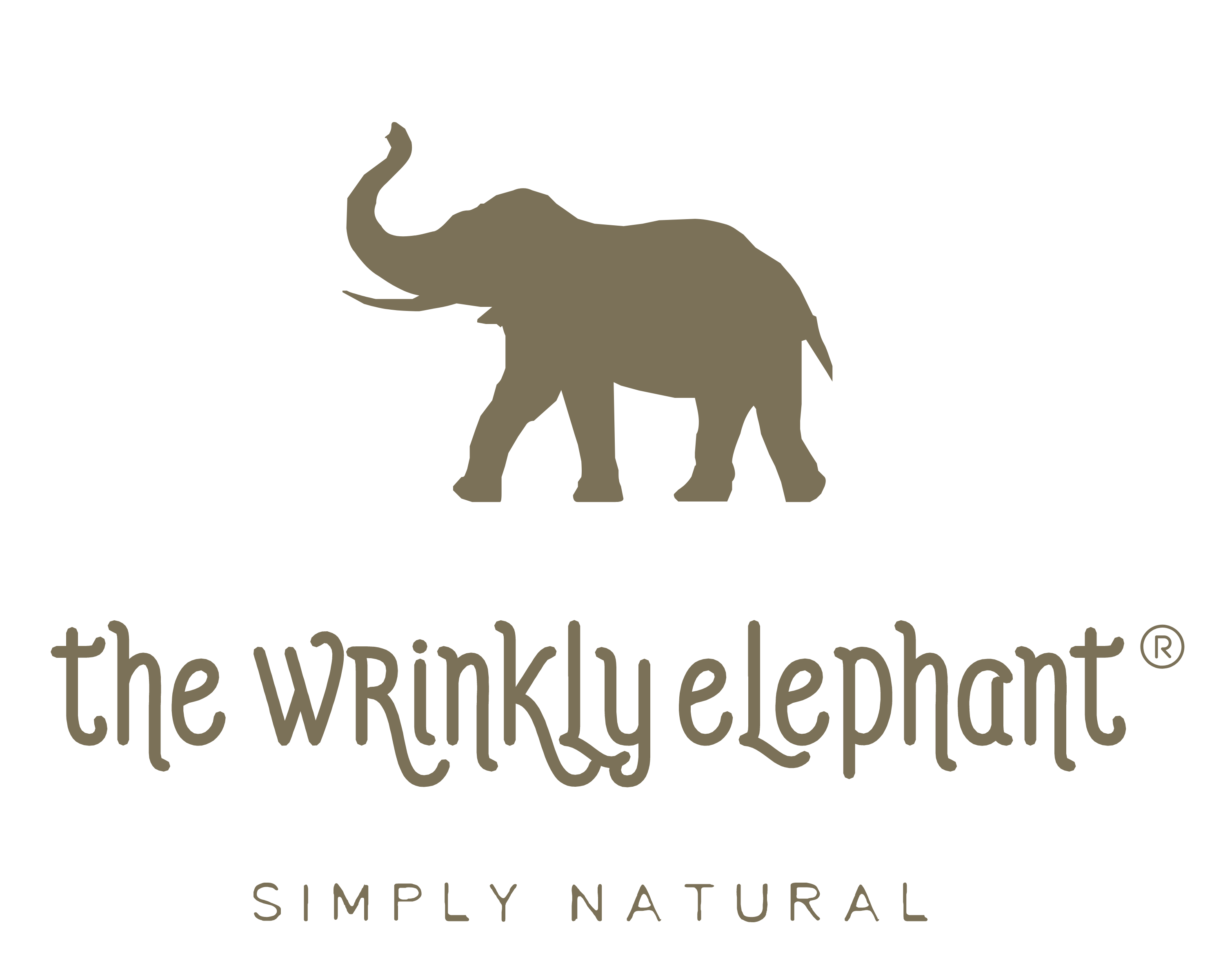 The Wrinkly Elephant logo