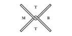 The Most Beautiful Thing in the World is logo