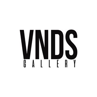 VNDS logo