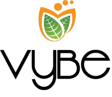 VYBE logo