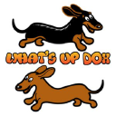 Whats Up Dox logo