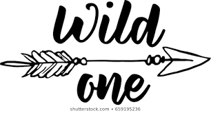 Wild One coupons and promo codes