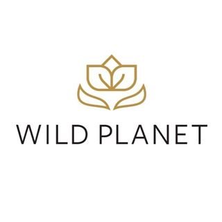 Wild Planet logo