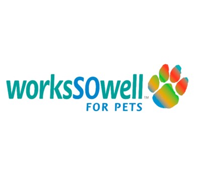worksSOwell logo